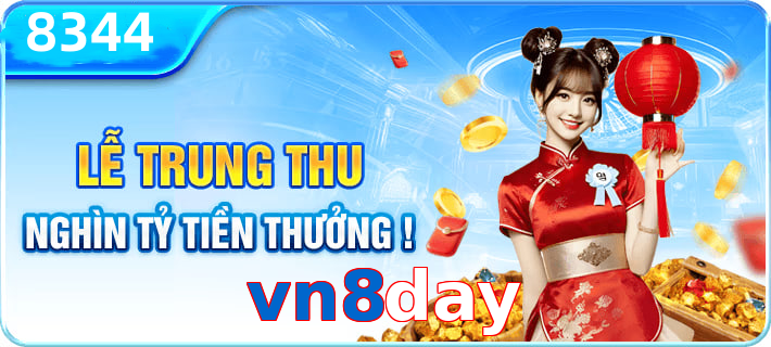 vn8day