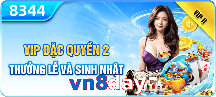 vn8day
