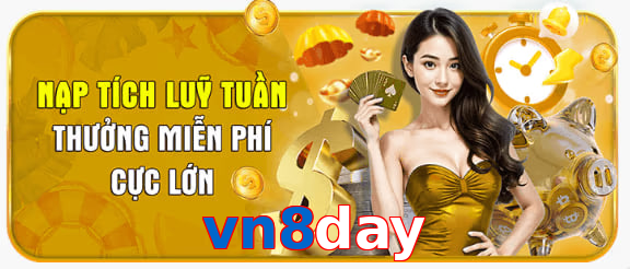 vn8day