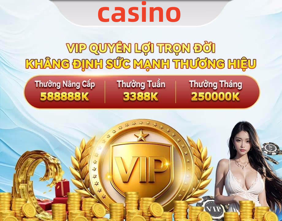 vn8dayss