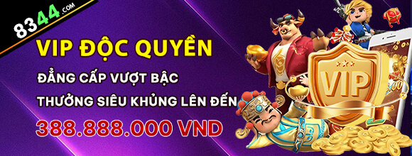 vn8dayss