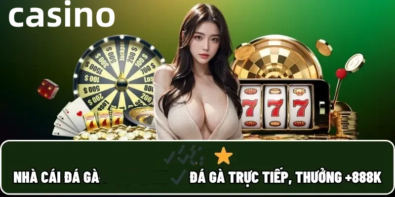 vn8dayss