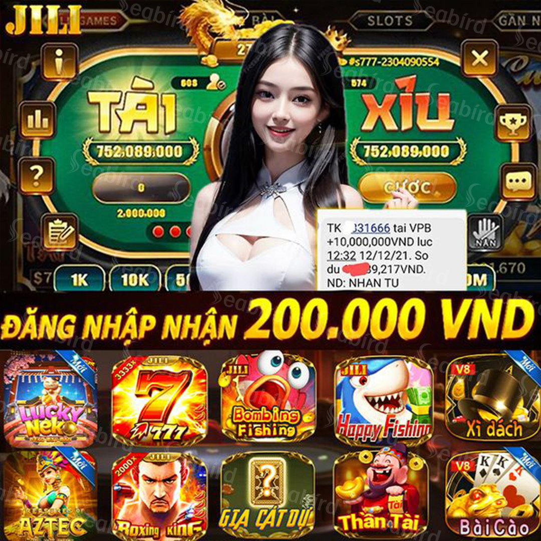 vn8day