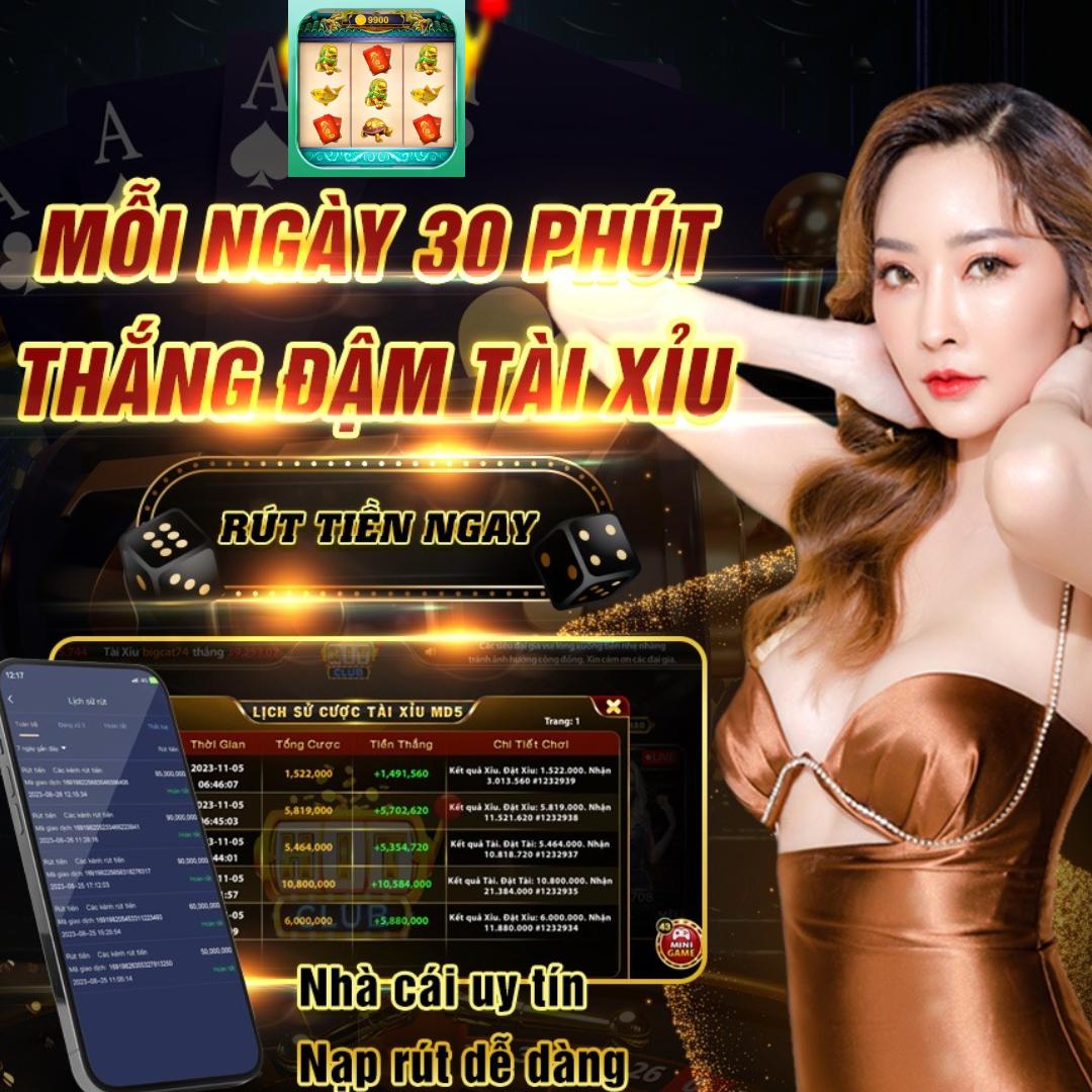 vn8day