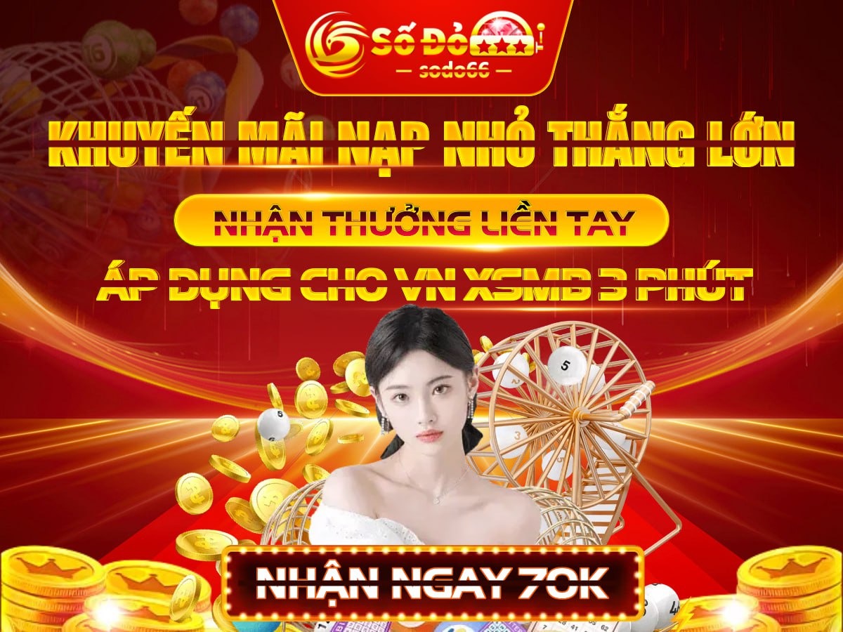 vn8day