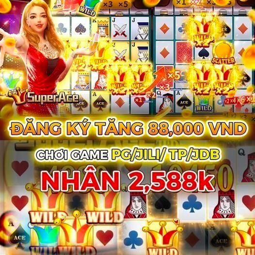 vn8day